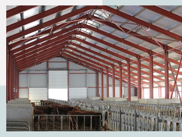 Строительство коровников в Чебоксарах