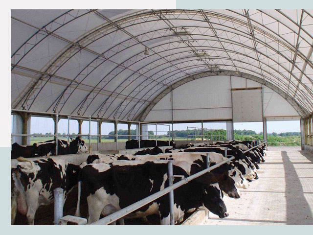 Тентовые коровники в Чебоксарах